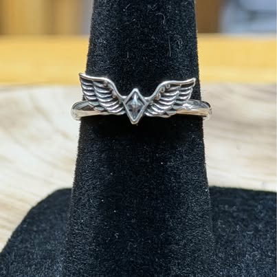 Tiny 316L Stainless Steel Wing Ring Size 5